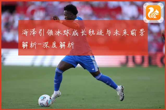 海泽引领冰球成长轨迹与未来前景解析-深度解析