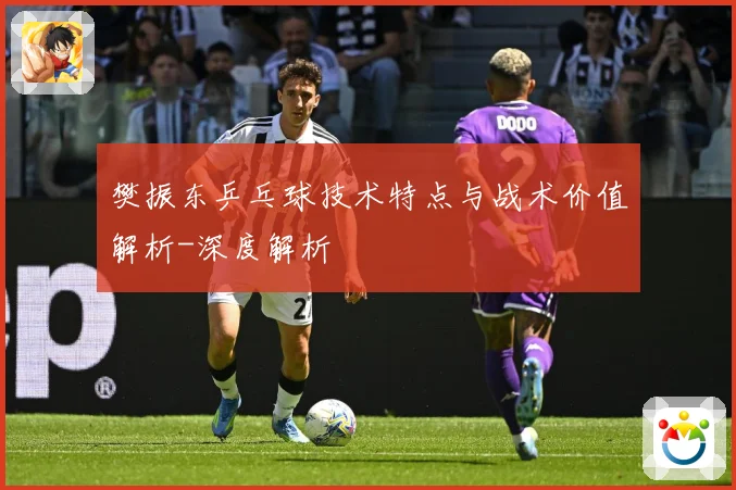 樊振东乒乓球技术特点与战术价值解析-深度解析
