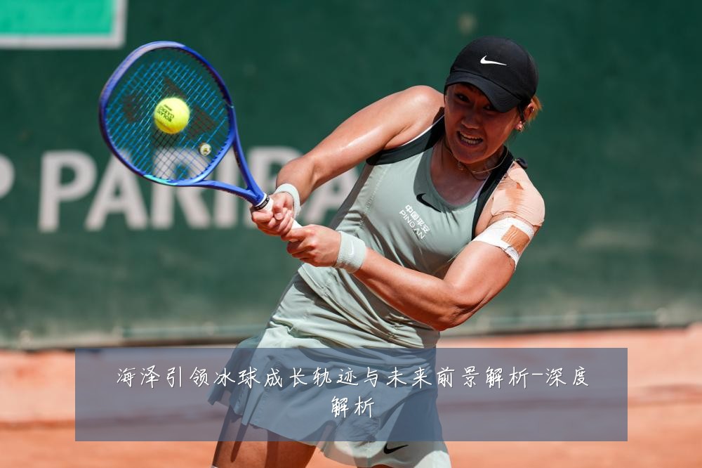 海泽引领冰球成长轨迹与未来前景解析-深度解析
