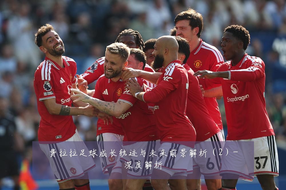 费拉拉足球成长轨迹与未来前景解析(2)-深度解析