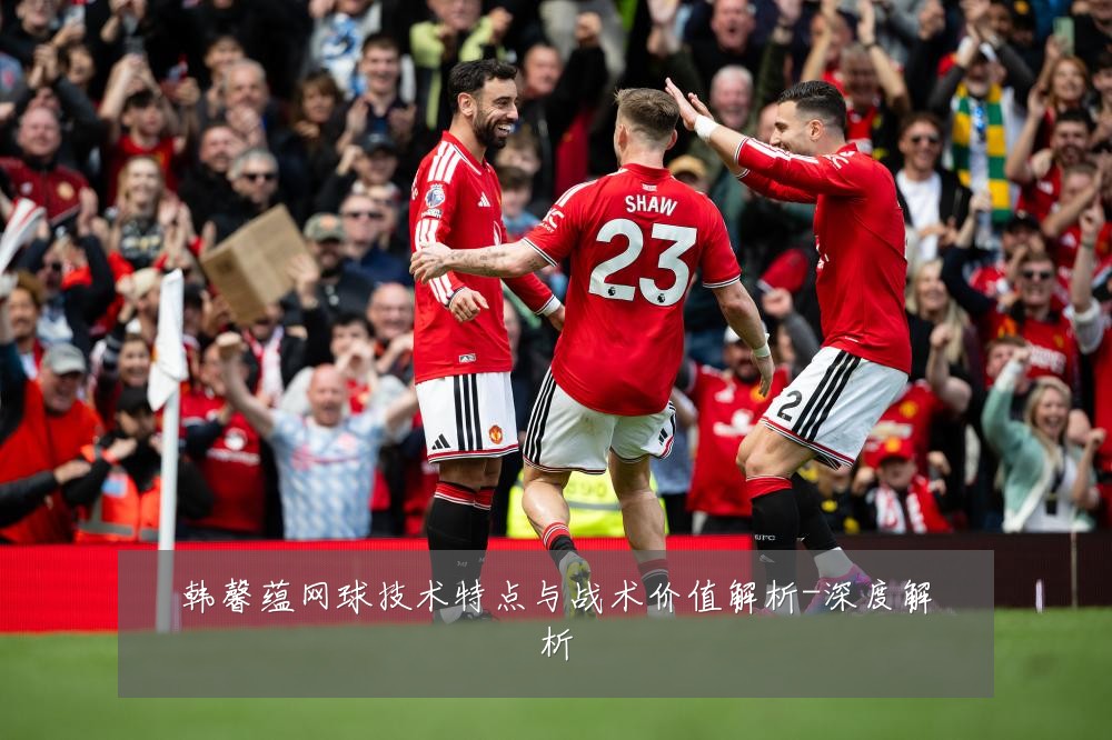 韩馨蕴网球技术特点与战术价值解析-深度解析